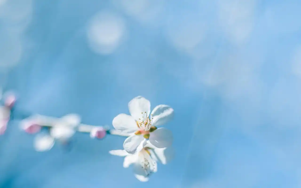 原创双鱼座女生喜欢的男生类型有哪些