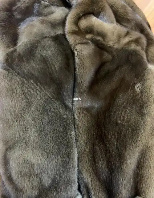 咖啡貂到底哪种颜色好