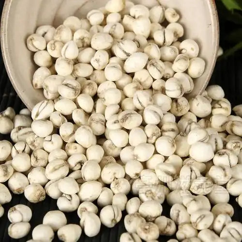 贝母精选四川省绵阳市贝川松贝500克包邮中药材川贝