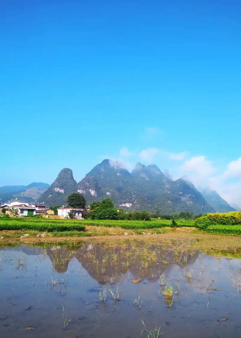 胡不归园田(14)——《山水田园风光秀》摄于桂林阳朔西牛塘村