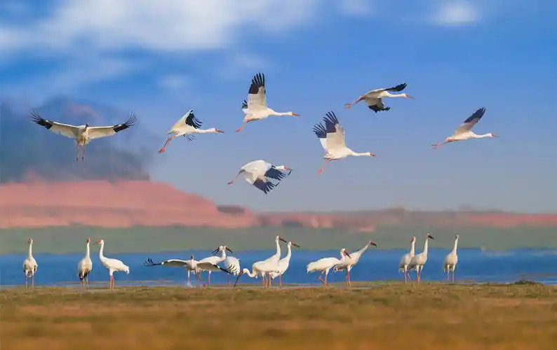 都昌十八景,都昌县人民政府,文化广电新闻出版旅游局,工作动态