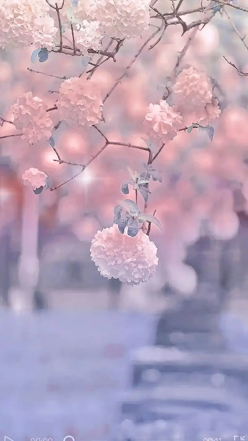 暖色系,温暖你的心,请推给1000000个需要温暖的人#抖音 - 抖音