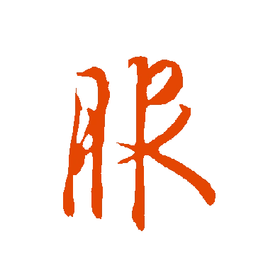 字典中"服"字拼音_意思_部首_组词——百答知识