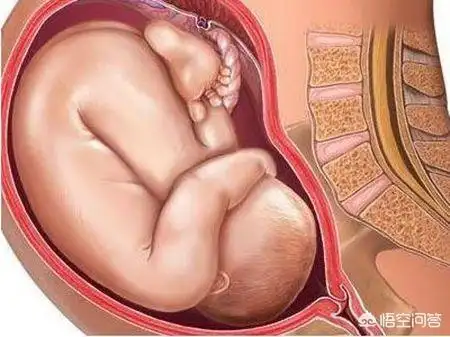 怀孕38周出生宝宝算足月了吗?-惠修网