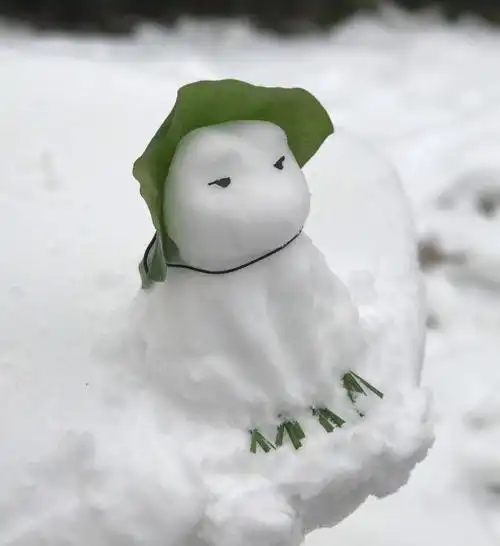 5分钟的雪景照片跟5小时的雪景照片,差别究竟有多大?