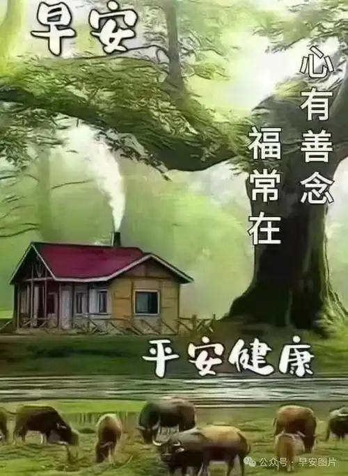 3月早安漂亮图片问候祝福语