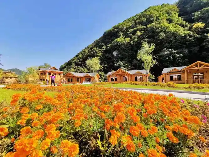 不知哪位把爱拍照的我拍上了,谢啦