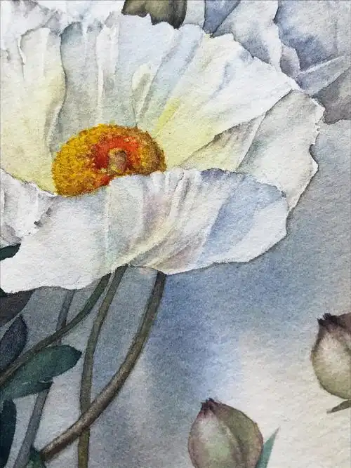 水彩罂粟花 这个是临摹 最-mar