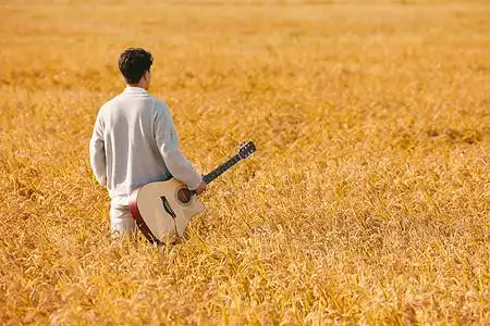 男性拿着吉他走在稻田里的背影图片素材