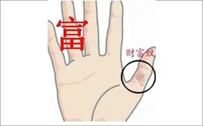 9,财运线深直手相中,小指的根部称为水星丘,这里有一条竖线就是重要