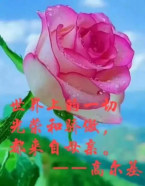歌颂妈妈的句子唯美