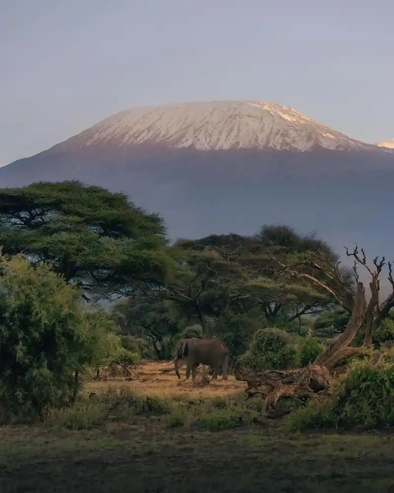 非洲屋脊——乞力马扎罗,位于东非大裂谷以南约160公里,平均 - 抖音
