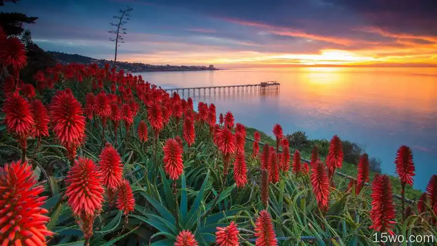 标签:e屋壁纸为你提供高清的夕阳 海岸 鸿运当头壁纸 3840x2160壁纸