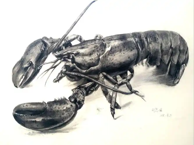 刘苏熠同学作品:大龙虾