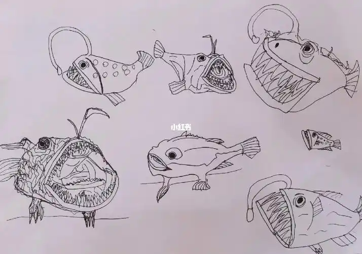 儿童画  #安康鱼