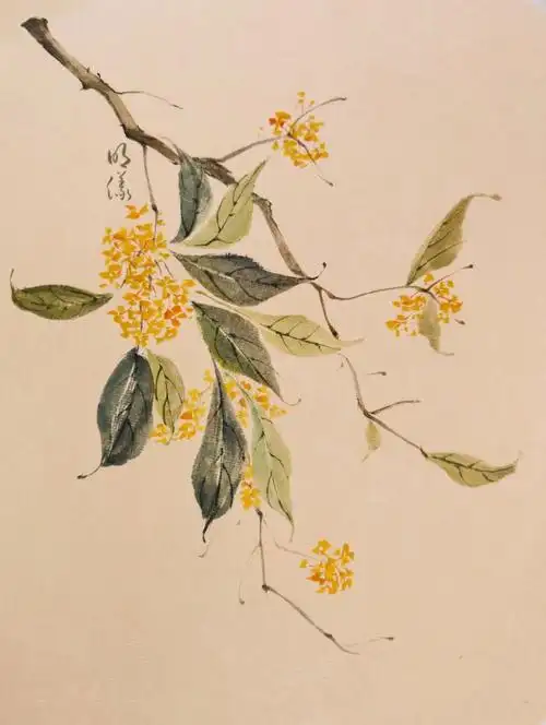 桂花写意小品