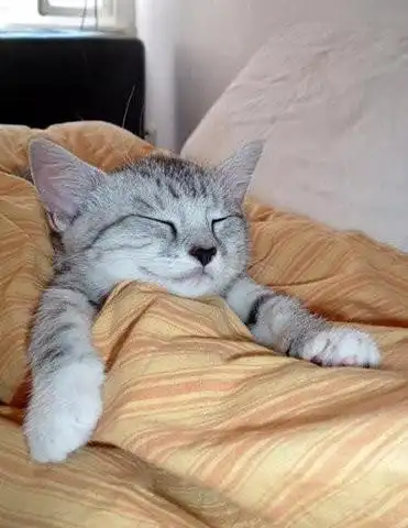 我生病了  要盖好被子睡觉休息.