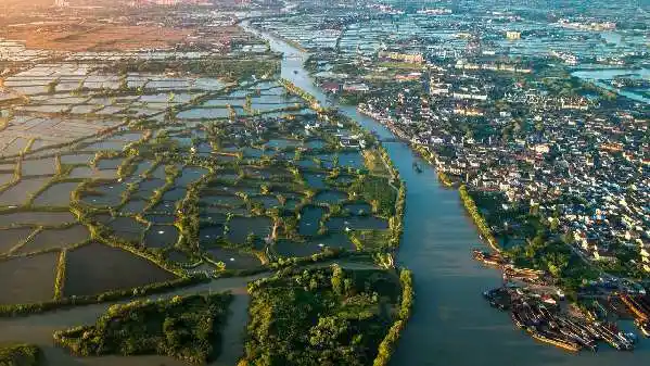 农遗活化石赋能乡村振兴湖州南浔让桑基鱼塘系统活起来