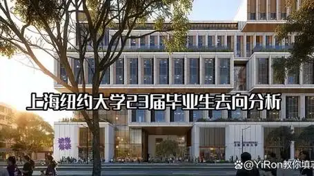 上海纽约大学每年学费达到20万,毕业后工资到底有多高?