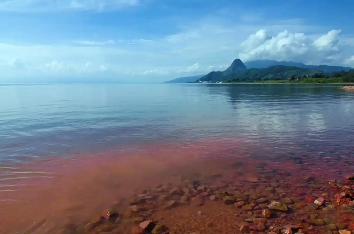 粉红沙滩位于云南澄江市抚仙湖西岸的红山咀处,从澄江市区驱车出 - 抖