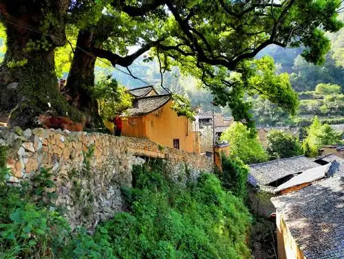 丽水杨家堂村随拍