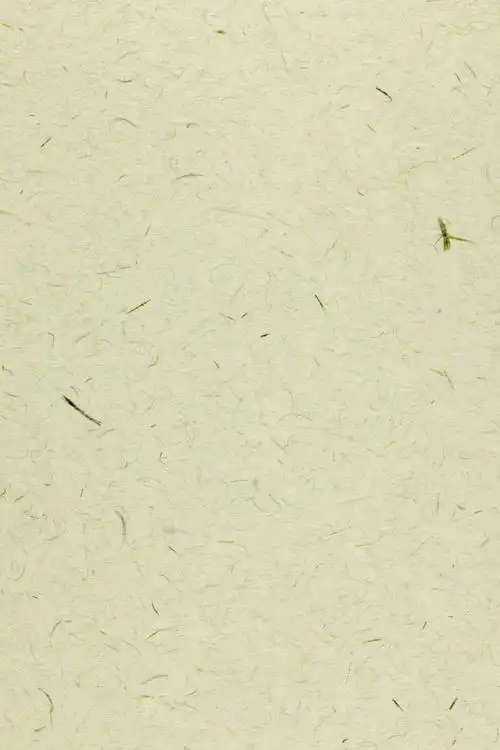 图片素材,纹理,宣纸,纸纹,纸张,炫酷底纹底纹,防伪底纹证书底纹,唯美