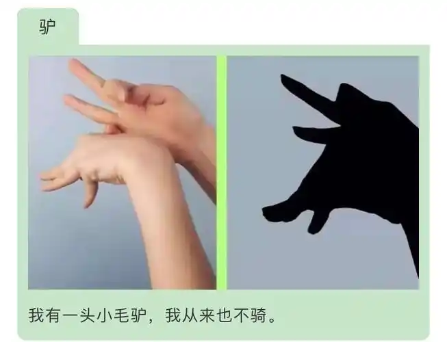 【亲子时光】家庭亲子益智游戏——《手影游戏》