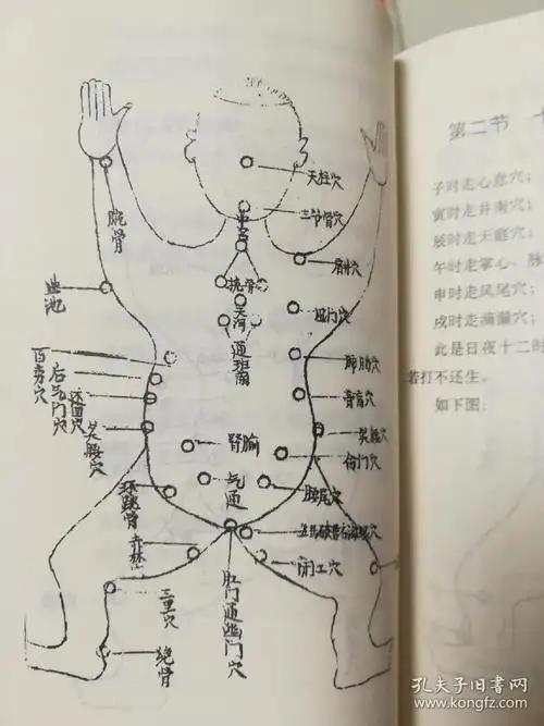 五百钱秘传绝技