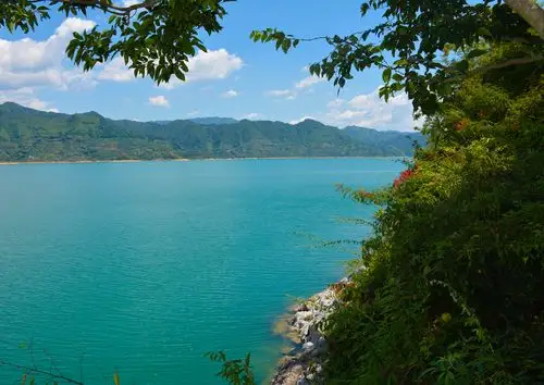 介绍家乡景点东江湖凤凰岛