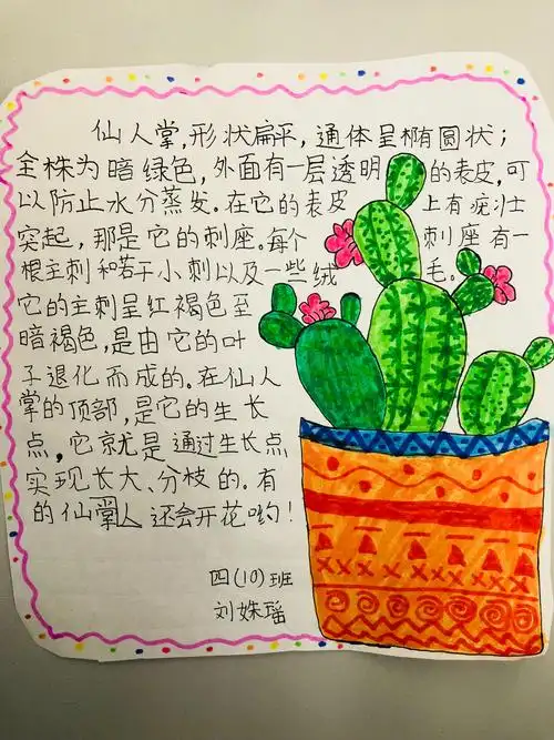 我眼中的植物王国