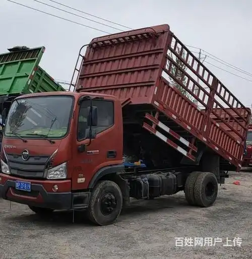 2米高栏二手瑞沃自卸车 国五小蓝牌 170马力 - 临沂沂水货车 - 沂水