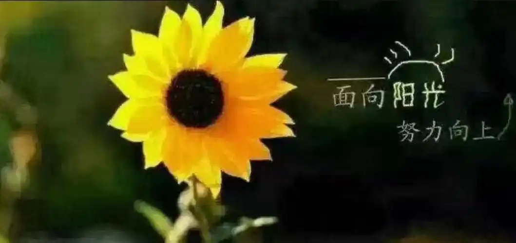 如何让自己每天都有好心情