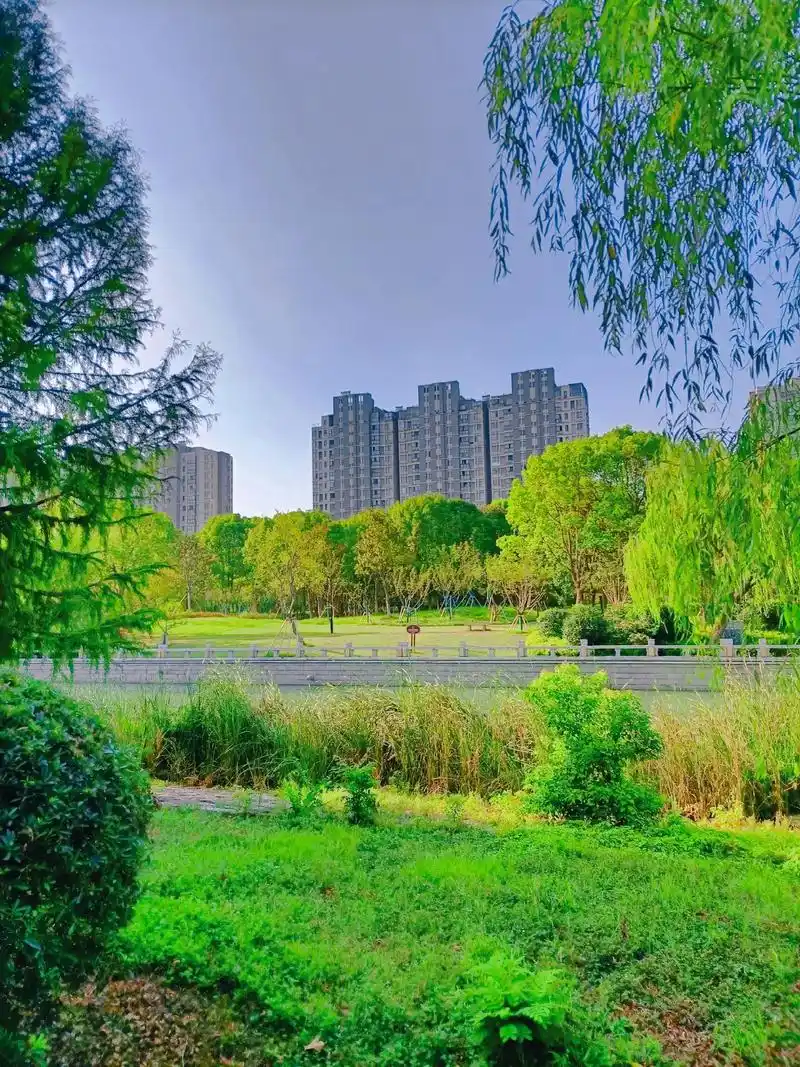 一首好听的歌黄晓君演唱《如果昨天是今天》感 - 抖音