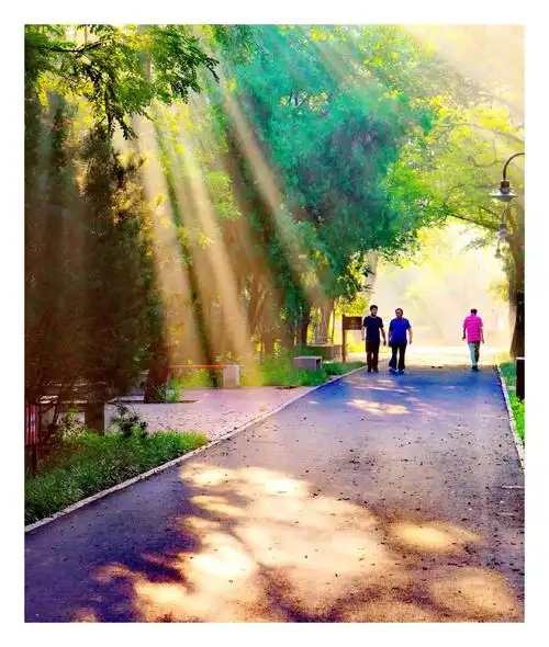 红日升在东方,其大道满霞光.今晨,拍摄于唐山大城上公园 - 抖音