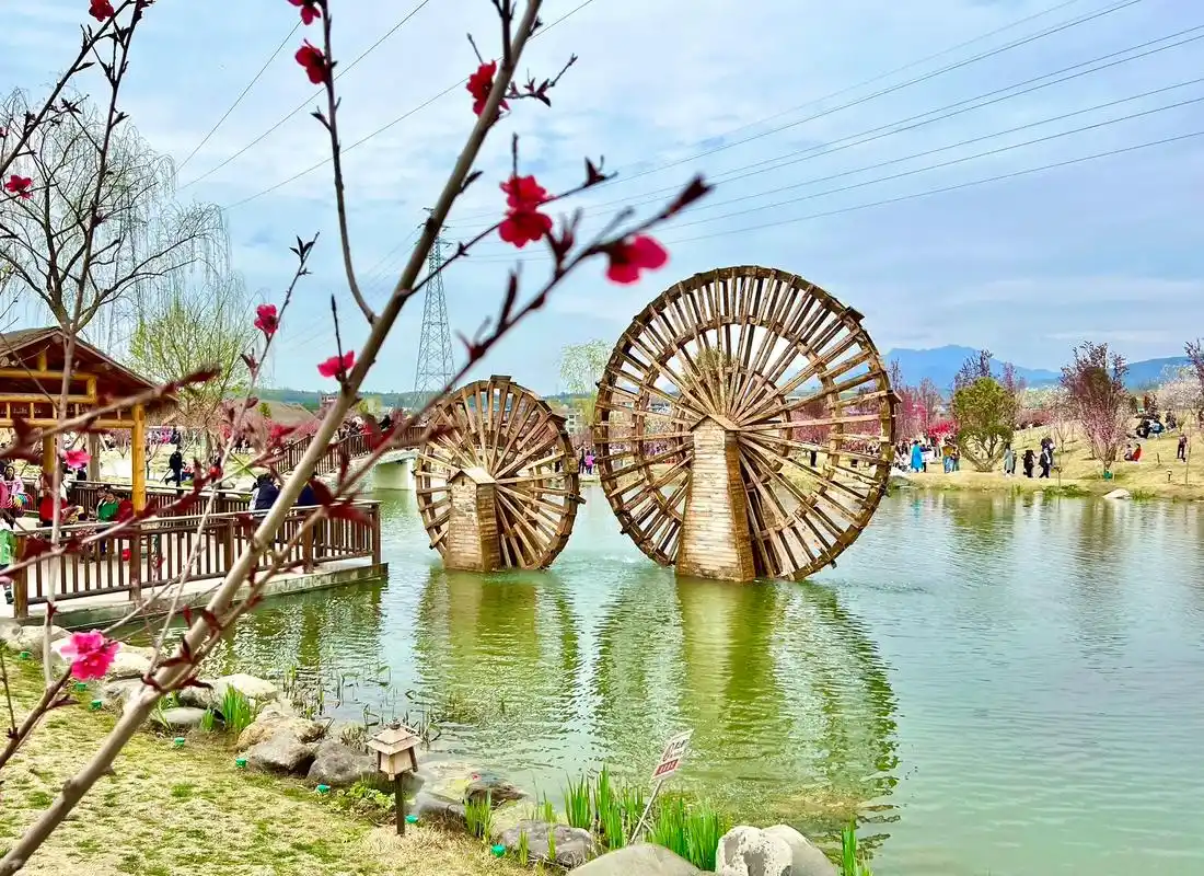 寻梦桃花源,人生最安康!泊车靠加塞,如厕要比肾. - 抖音