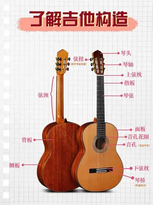 吉他的基本构造和各部位的名称027215本篇笔记以古典吉他为例