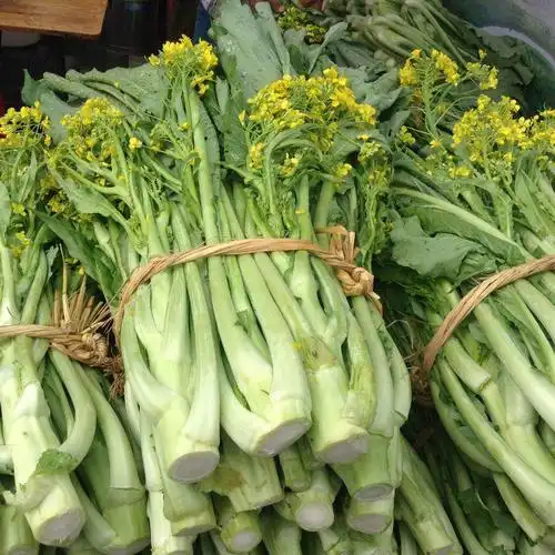 正宗广东增城迟菜心新鲜小楼高脚菜心原产地直发精选10斤装包邮