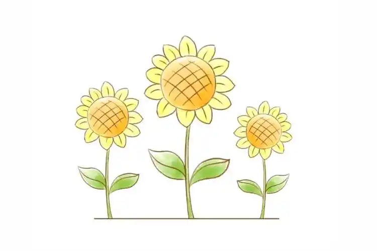 美丽的向日葵花简笔画
