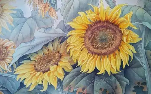 公开课视频合集陈松岩教授讲工笔向日葵