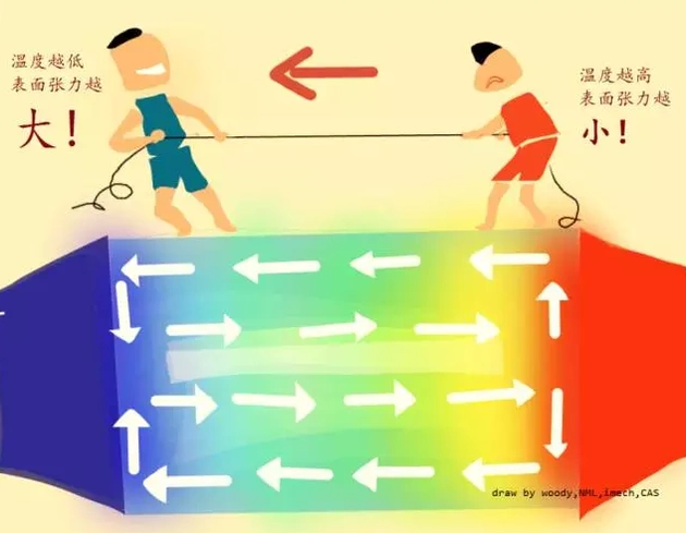 表面张力驱动的液桥热毛细对流机理