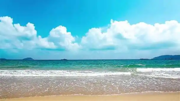 三亚"友"爱·请君归来看大海