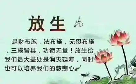 愿以此功德,让天下所有有精神疾病的人都放生,学佛,解除痛苦!