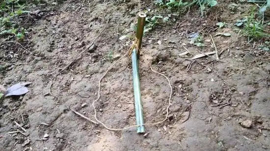 独创的野鸡套陷阱,灵敏度非常高,抓野鸡捕鼠分分钟