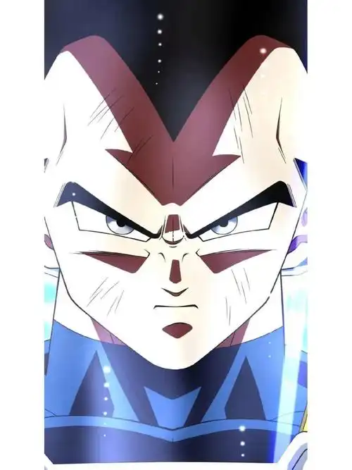 自在极意功贝吉塔