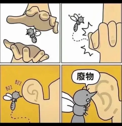 呜呜呜,我被蚊子狂虐了