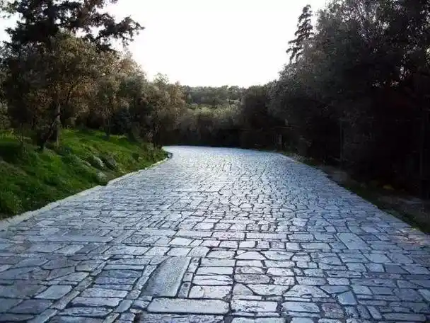 各种各样的游步道设计