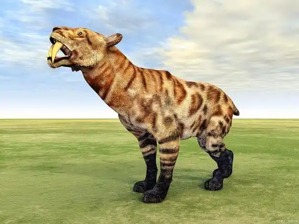 无法应对快速敏捷的猎物!是剑齿虎濒临灭绝的根本原因!