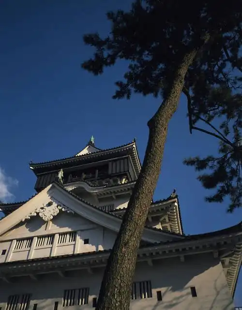 无人,竖图,室外,白天,仰视,旅游,度假,名胜古迹,标志建筑,地标,建筑