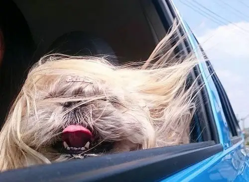 事实证明:头可断血可流,发型不能乱所以,别再忙着晒总结账单祝福了!