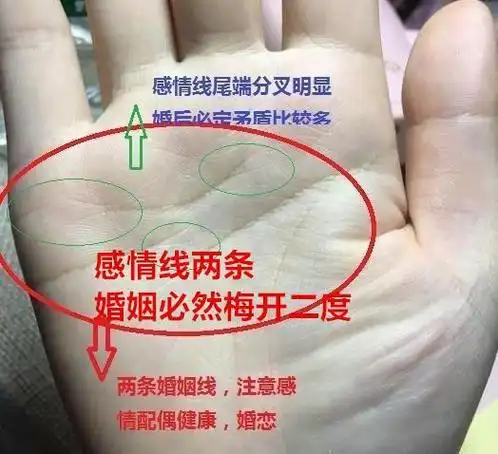 二婚手相 二婚比一婚幸福的手相